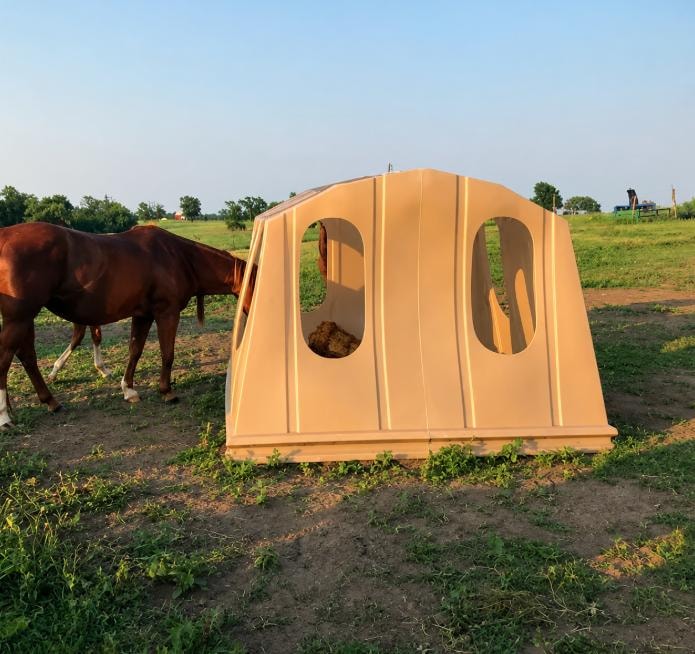 Horse at hay feeder in a pasture